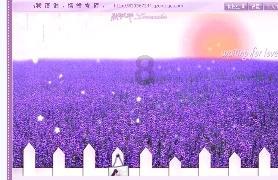 时尚女孩拍照